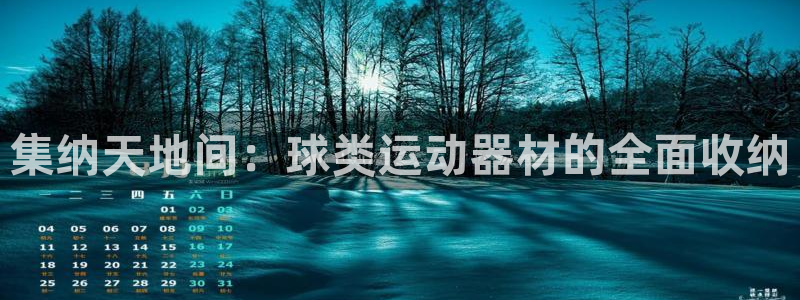 意昂体育4是干嘛的公司：集纳天地间：球类运动器材的全