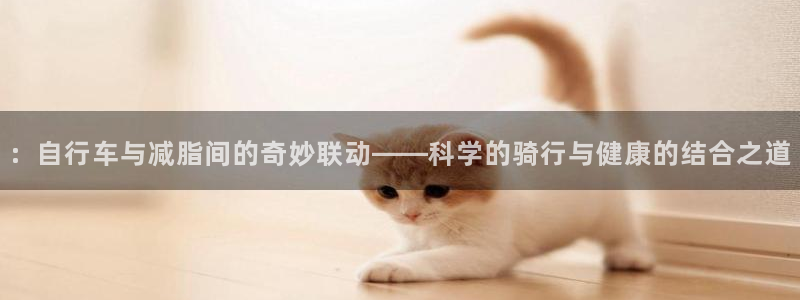 意昂4神州：：自行车与减脂间的奇妙联动——科学的骑行