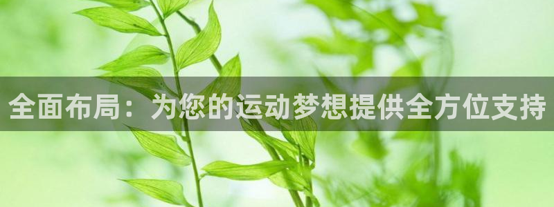意昂体育4招商电话：全面布局：为您的运动梦想提供全方