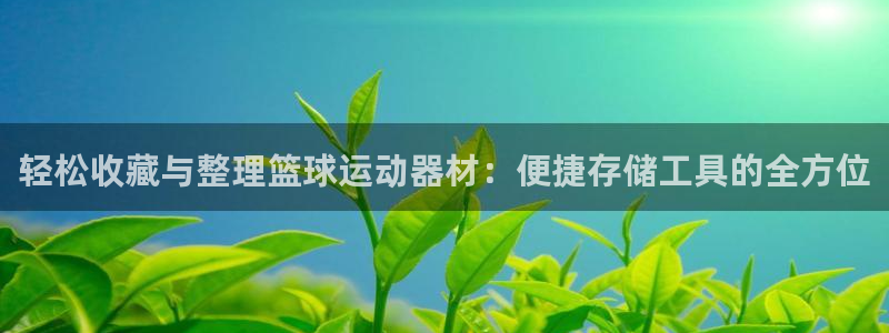 意昂4五金厂：轻松收藏与整理篮球运动器材：便捷存储工