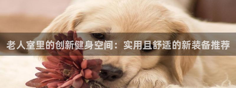 意昂体育4招商电话是多少啊：老人室里的创新健身空间：