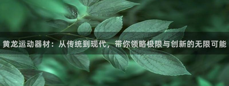 意昂4娱乐首页官网下载：黄龙运动器材：从传统到现代，