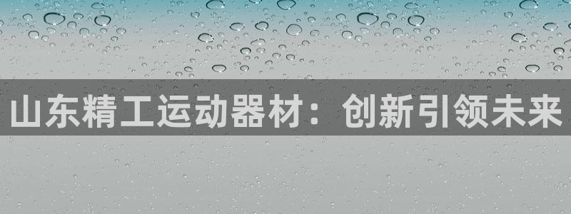 意昂体育4平台：山东精工运动器材：创新引领未来