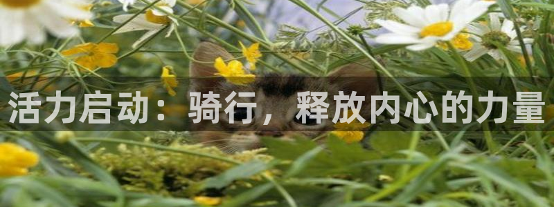 意昂4新能源：活力启动：骑行，释放内心的力量