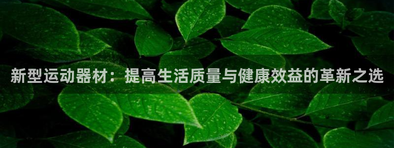 意昂4代理：新型运动器材：提高生活质量与健康效益的革新之选