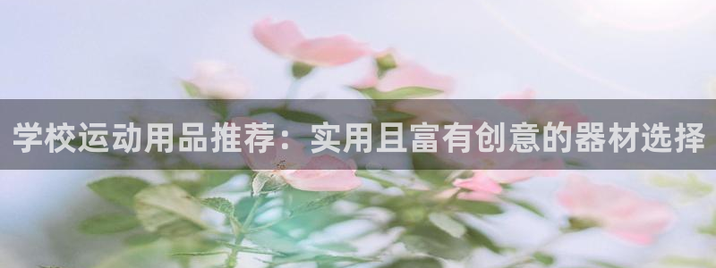 意昂平台体育：学校运动用品推荐：实用且富有创意的器材选择