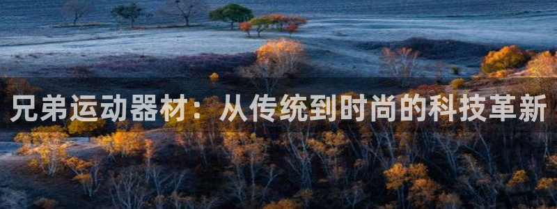 意昂4官方：兄弟运动器材：从传统到时尚的科技革新