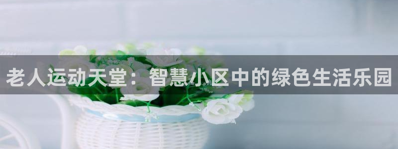 意昂4娱乐首页网站大全：老人运动天堂：智慧小区中的绿色生活乐