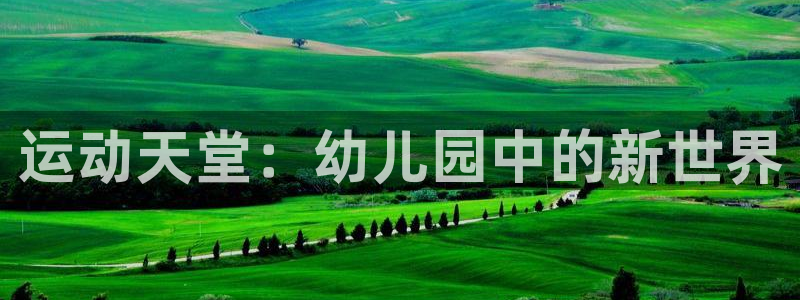 意昂4开户：运动天堂：幼儿园中的新世界