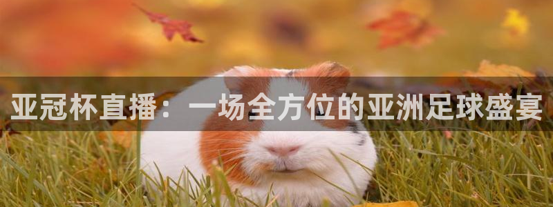 857直播nba直播：亚冠杯直播：一场全方位的亚洲足球盛宴